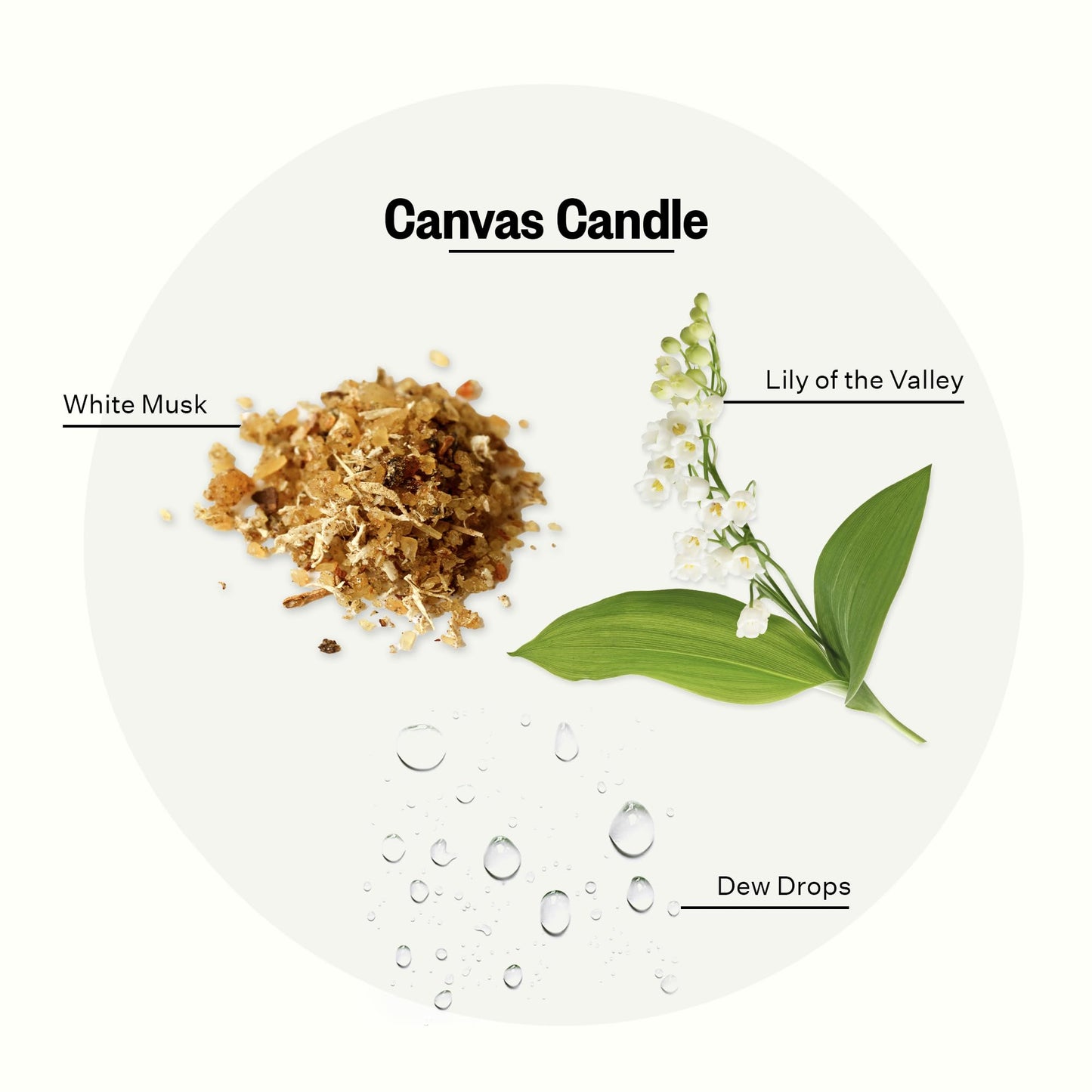 Apotheke Signature Scented Candles for Home, Canvas - 10.5 oz - Soy Wax, Non Toxic, Large Jar White - Luxury Candle Gifts for Women & Men - White Musk, Dew Drops, and Lily of the Valley