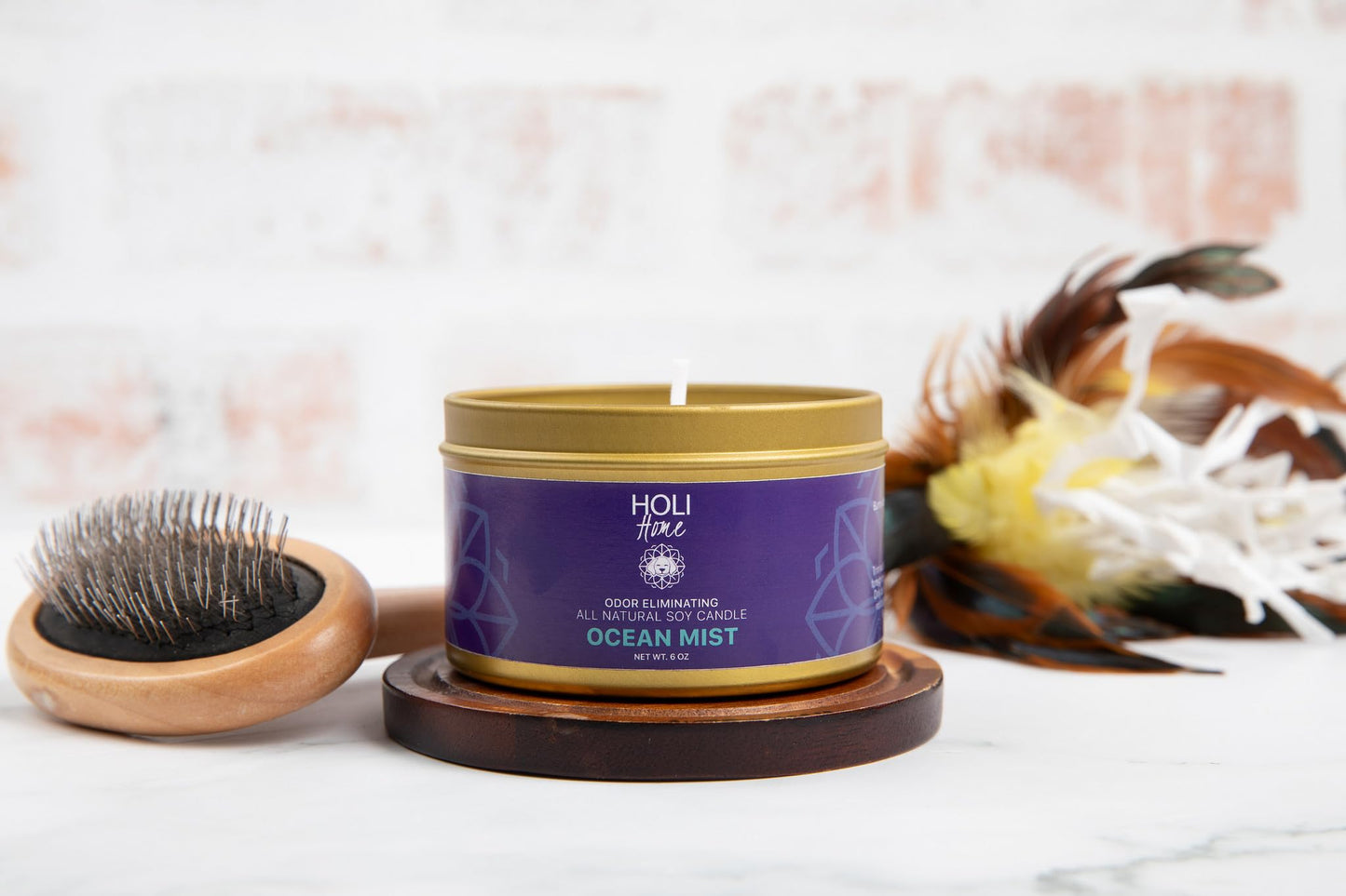 HOLI Pet Odor Eliminator Candle – Vanilla Suede Scent – All Natural Soy Wax, Paraben & Phthalate Free, Pet Safe, Long-Lasting 60-Hour Burn, Non-Toxic & Plastic-Free Air Freshener for Home