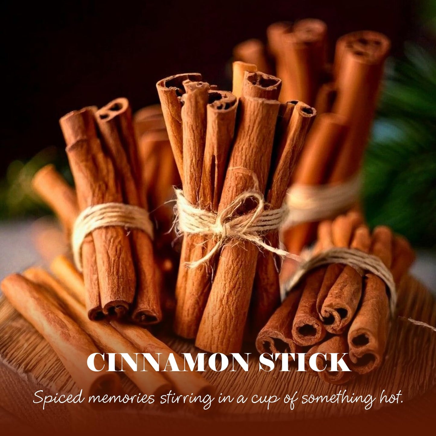 M&SENSE Christmas Holiday Candle - Cinnamon Stick Scent, 8.1oz Soy Wax, Ideal Winter Home Decor Gift for Women and Men