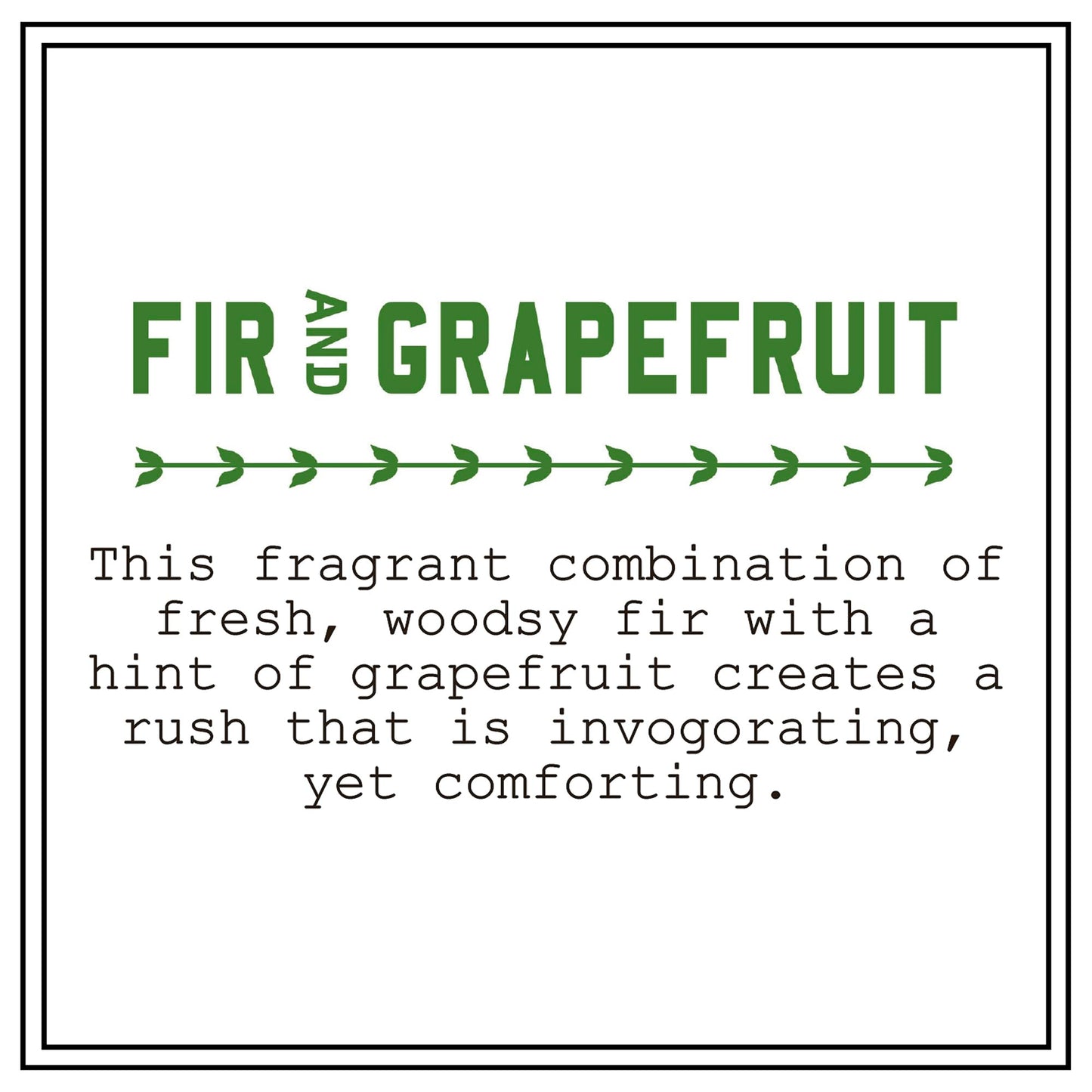 Barr-Co. Fir & Grapefruit Glass Tumbler Candle, Woody Citrus Scent, 120-Hour Long Burning Soy Wax Candle, Scented Candles for Home, Bathroom & Office, 20 oz