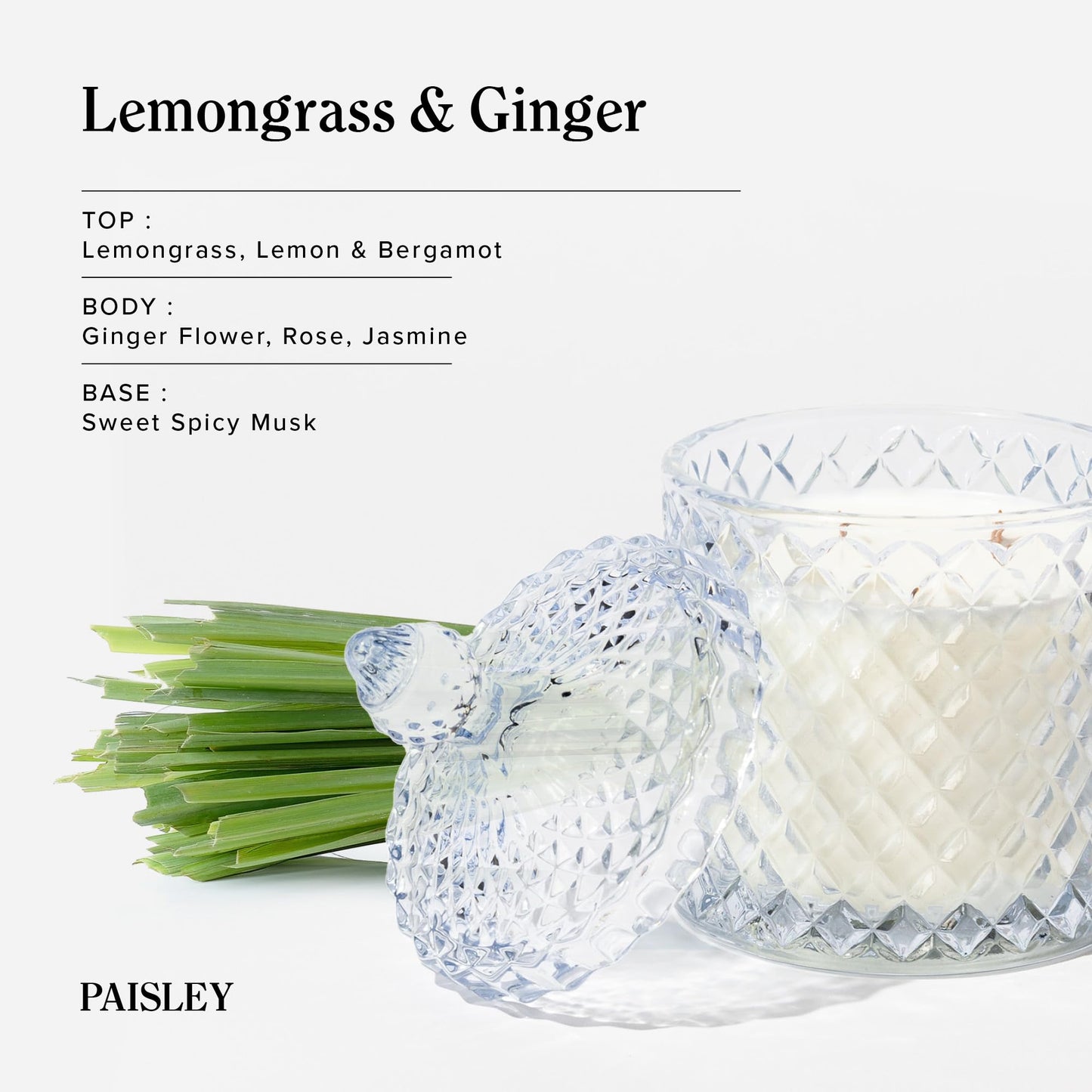 Hidden Label Large Decorative Jar Candle,Wood Wick Jasmine& Magnolia + Lemongrass Ginger Scented Candle.Soy Wax Candle for Home Scented