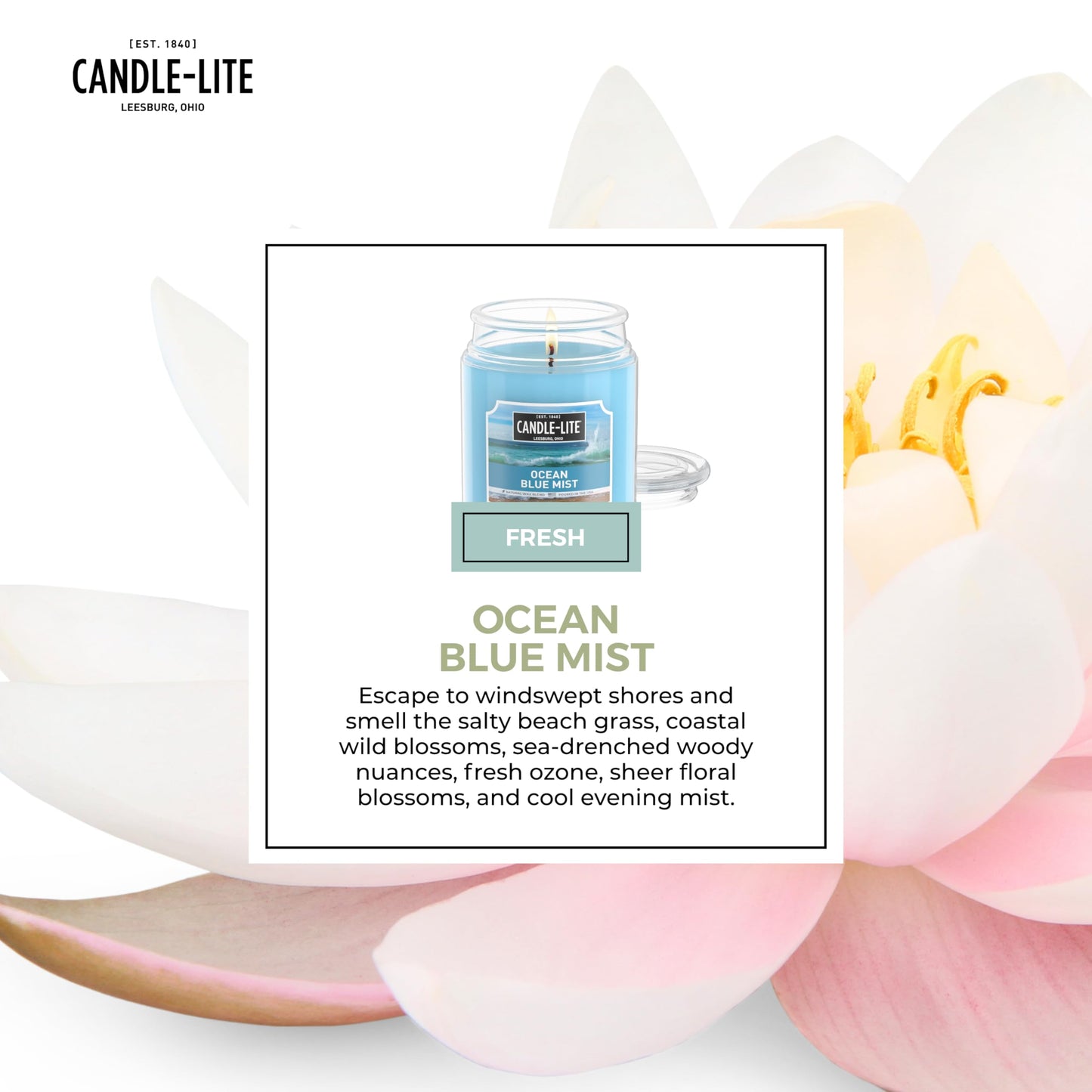 CANDLE-LITE Scented Ocean Blue Mist Fragrance, One 18 oz. Single-Wick Aromatherapy Candle with 110 Hours of Burn Time, Light Color (Individual Box) (Pack of 2)