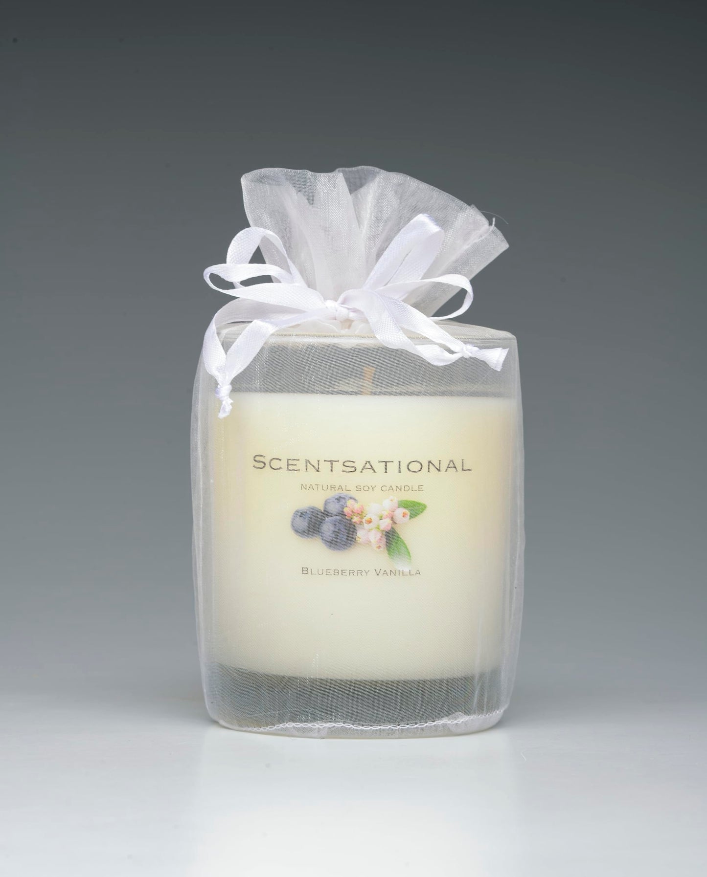 Scentsational Natural Candle, Blueberry Vanilla Scent, 11 oz, Gift Wrapped