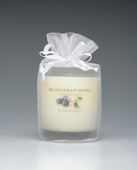 Scentsational Natural Candle, Blueberry Vanilla Scent, 11 oz, Gift Wrapped