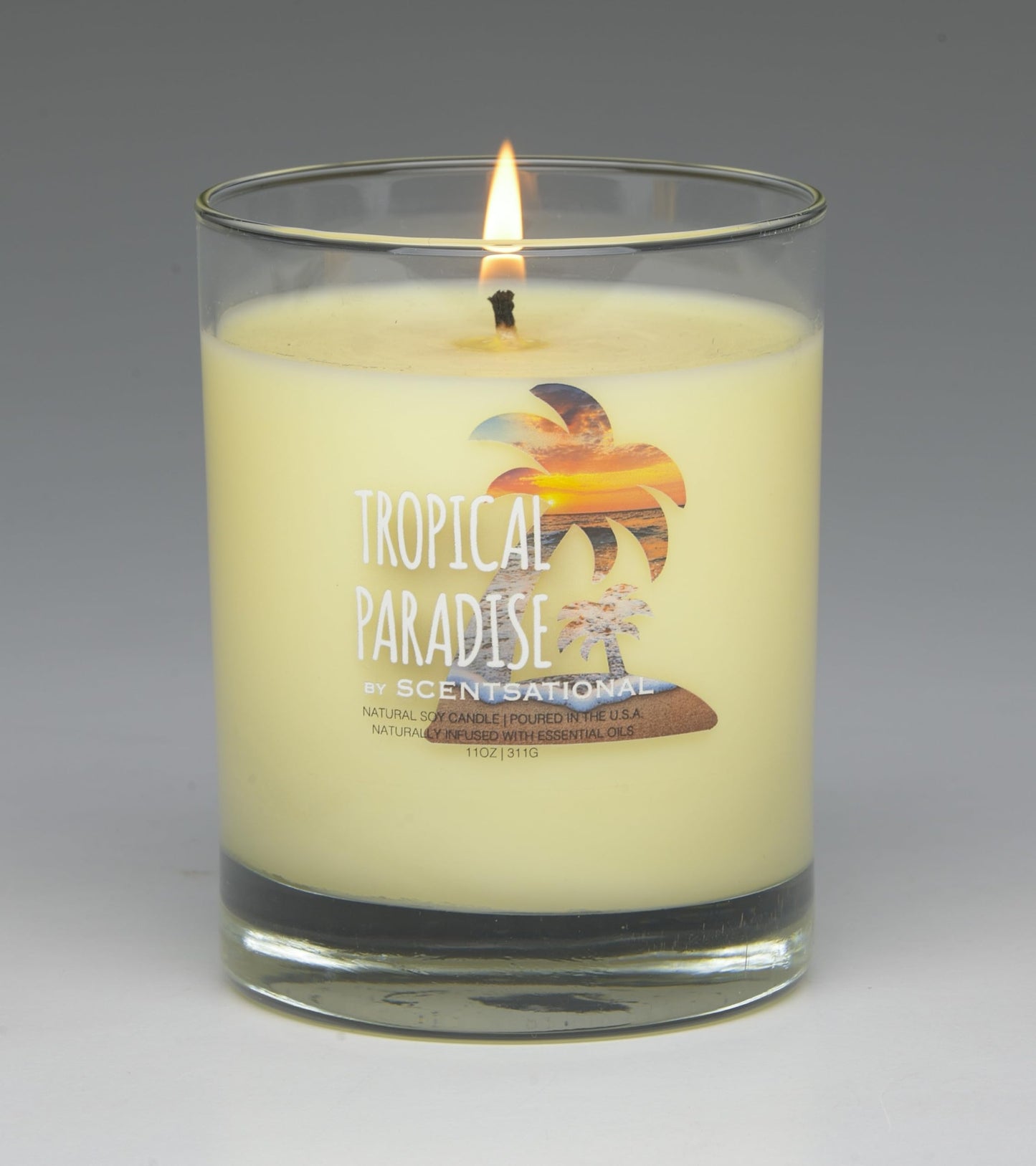 Scentsational Tropical Paradise Natural Candle, 11 oz Glass Jar, 50-60 Hour Burn Time, Gift Wrapped