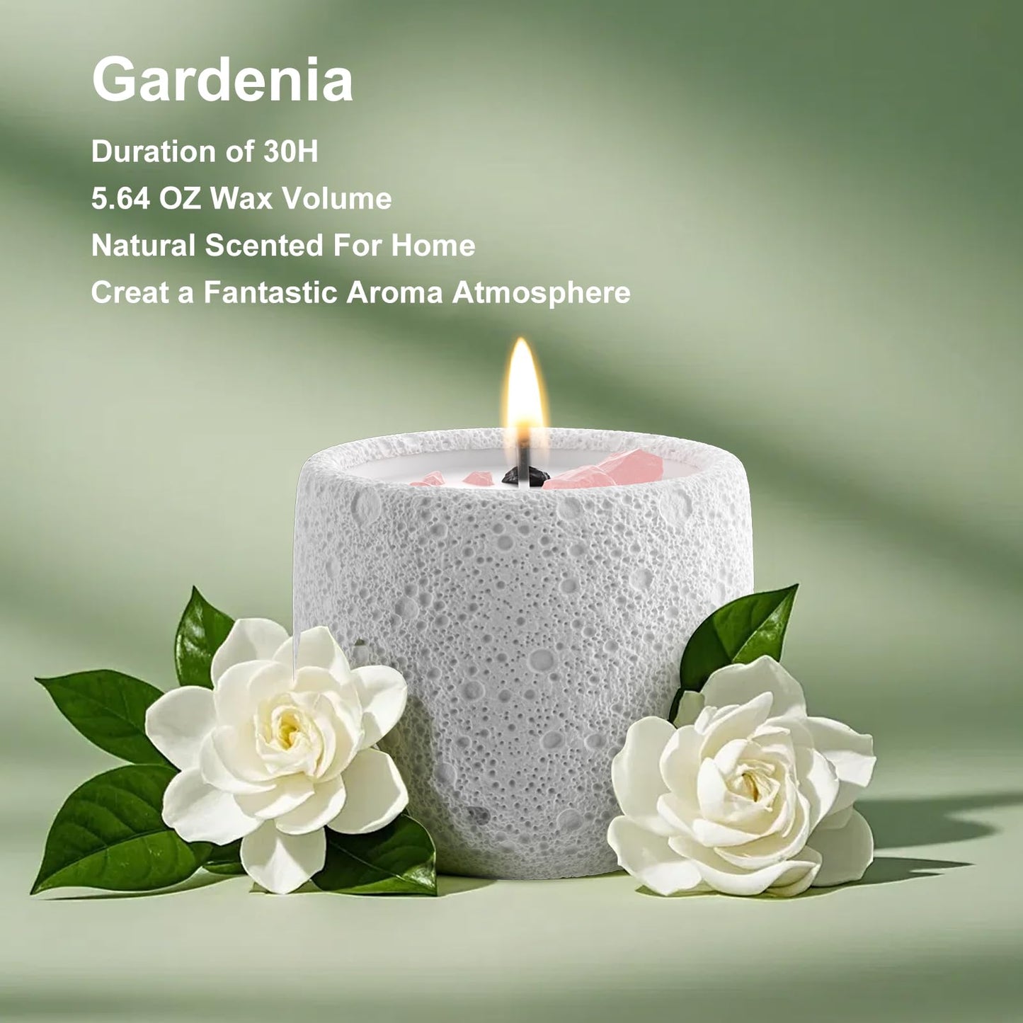 Gardenia Scented Candles Gypsum Jar Candle, Soy Candles for Home Fragrance & Decor, Ideal for Creating Relaxing Ambience & Holiday Gifting | 5.64 Oz (Gardenia)
