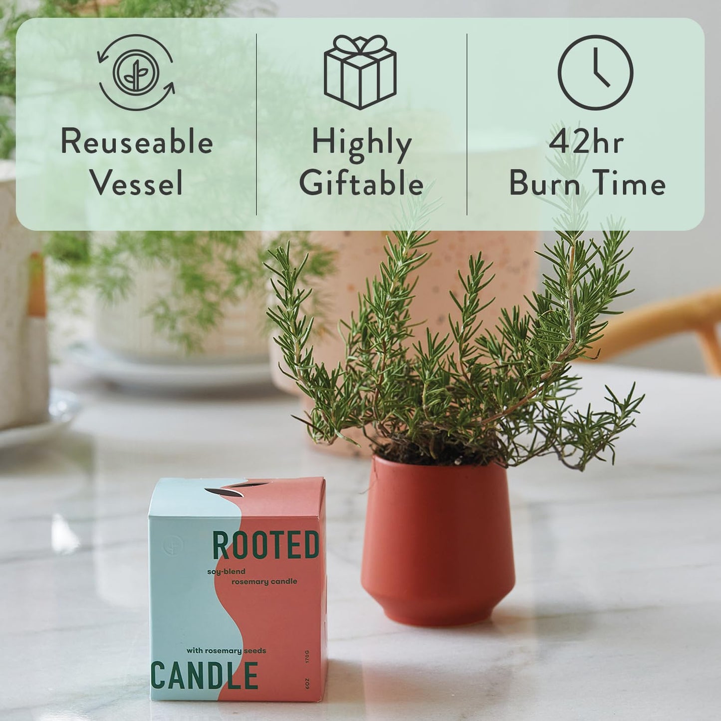 Modern Sprout - 2 in 1 Cucumber Scented & Soy Candle with Seeds that Grows into Rosemary Plant - 6 oz w/ 42 Hr Burn Time in Matte Glaze Ceramic Vessel Ideal for Indoor Herb Garden