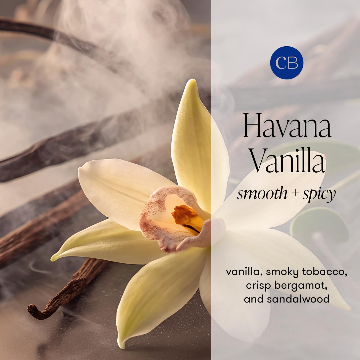 Capri Blue Havana Vanilla Scented Candles for Home - Mercury Iridescent Inverted Jar Candles - Housewarming Gifts for Women & Men - Long Burning Soy Wax Blend - Capri Blue Havana Vanilla (10 oz)