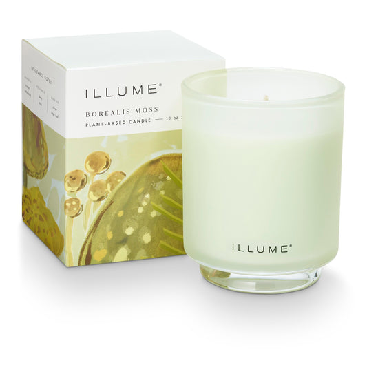Illume Beautifully Done Borealis Moss Boxed Glass Scented Candle