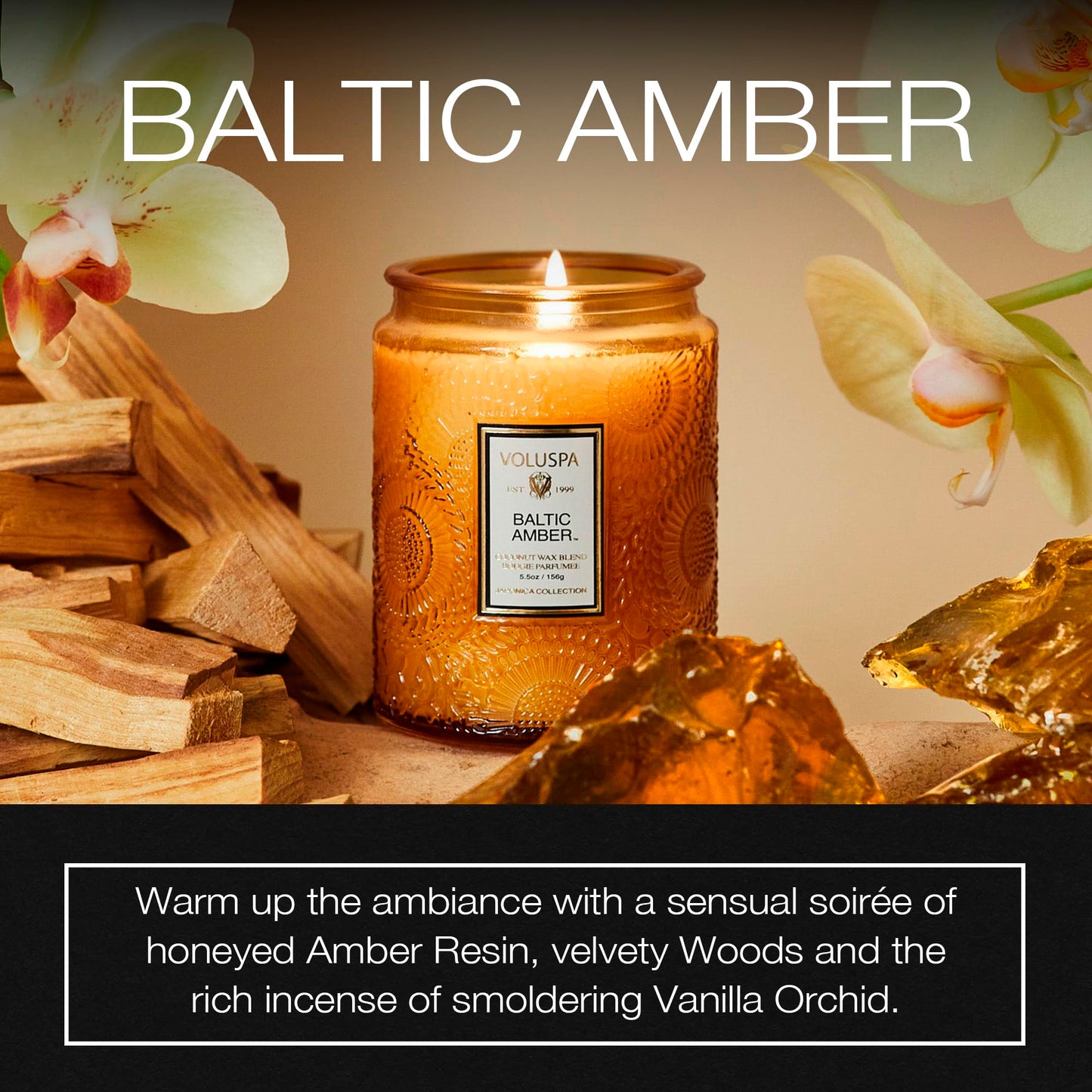 Voluspa Baltic Amber, Small Candle Jar, 5.5 oz, 50 Hour Burn Time, Coconut Wax for Clean Burning, Handcrafted in the USA
