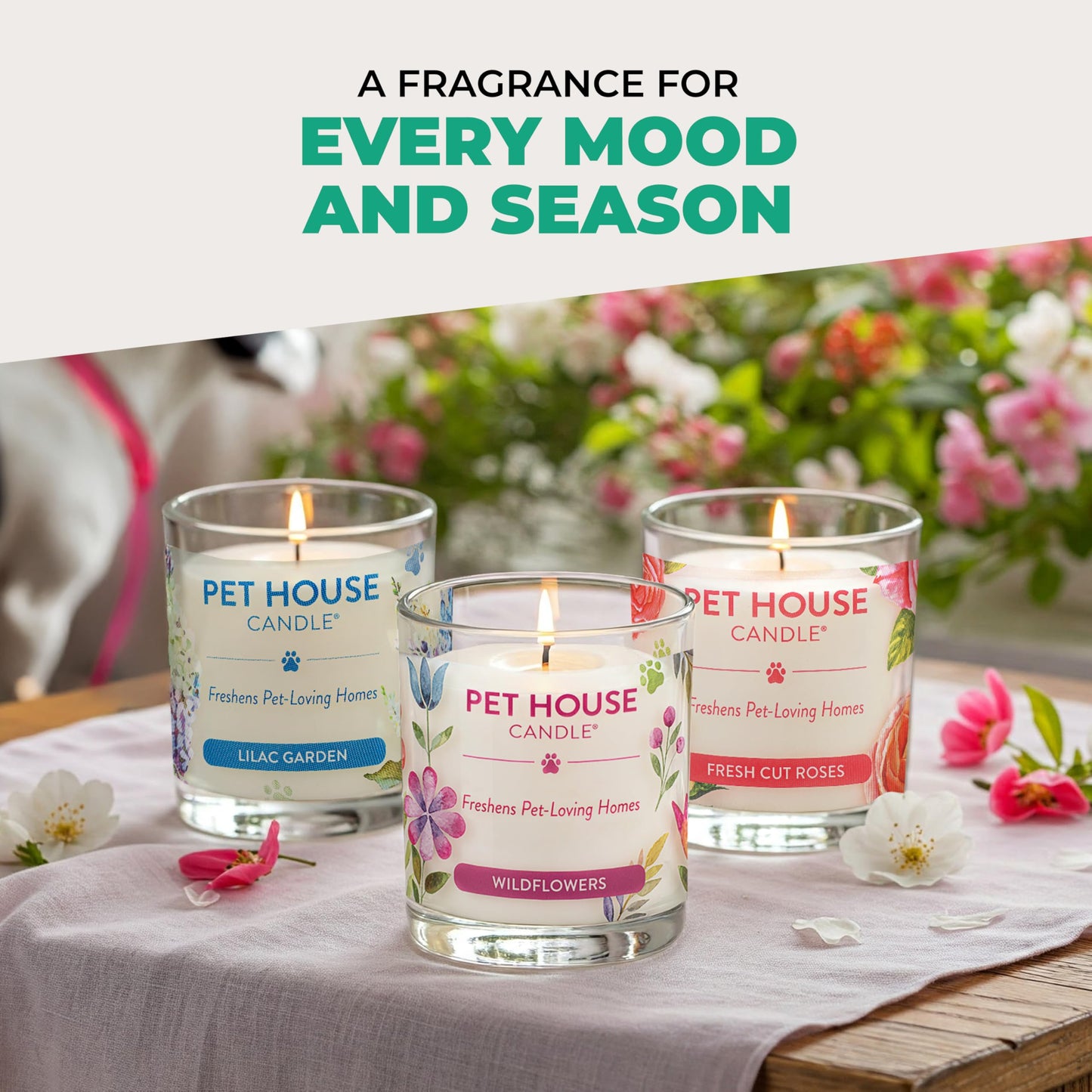 Pet House Candles, Plant-Based, Clean Burning, Long Lasting Pet Odor Candle for Home - Snow Cone