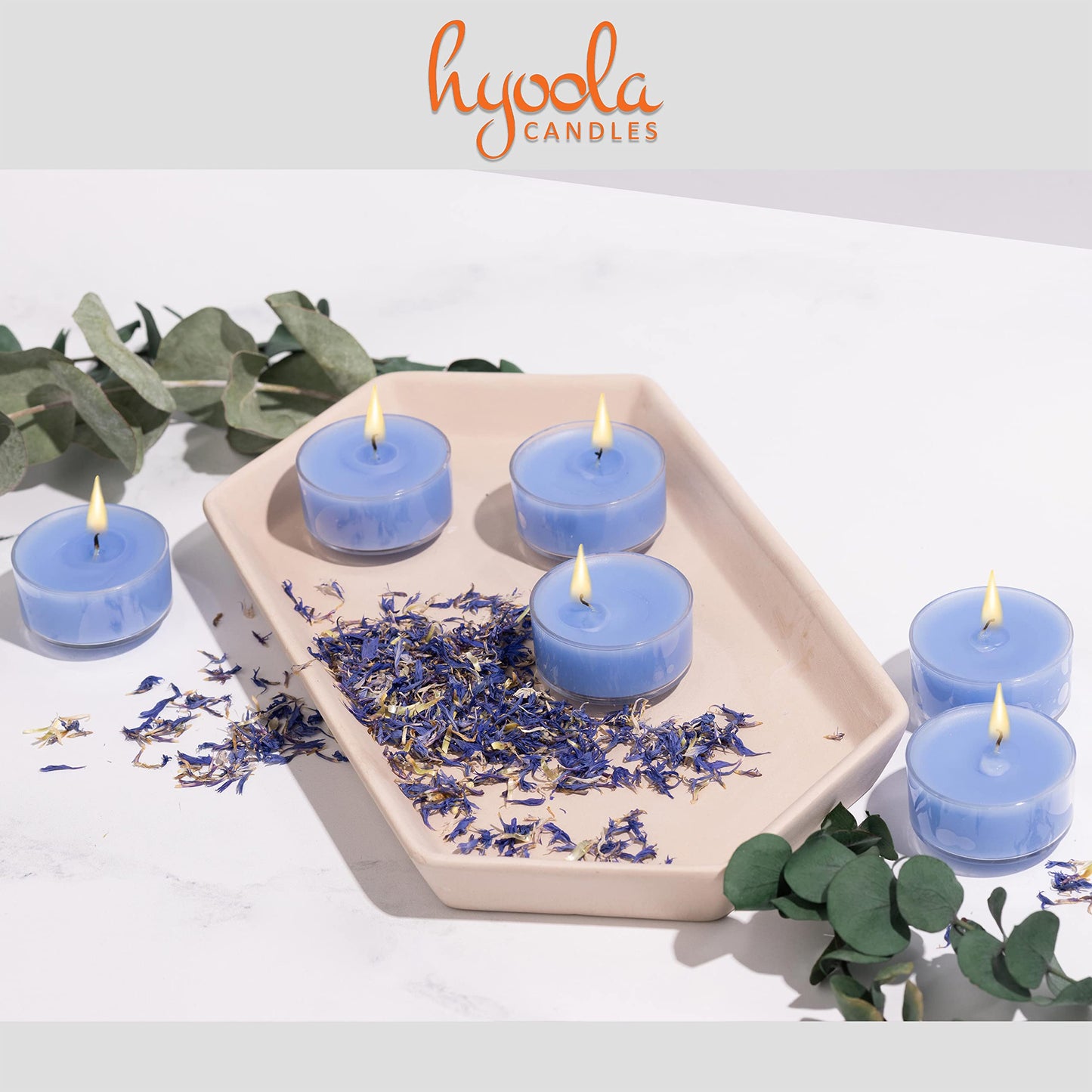 HYOOLA Scented Tealight Candles - Clear Cup - Wellness Tealight Candles Scented - 6 Hour Burn Time - 15 Pack - European Made