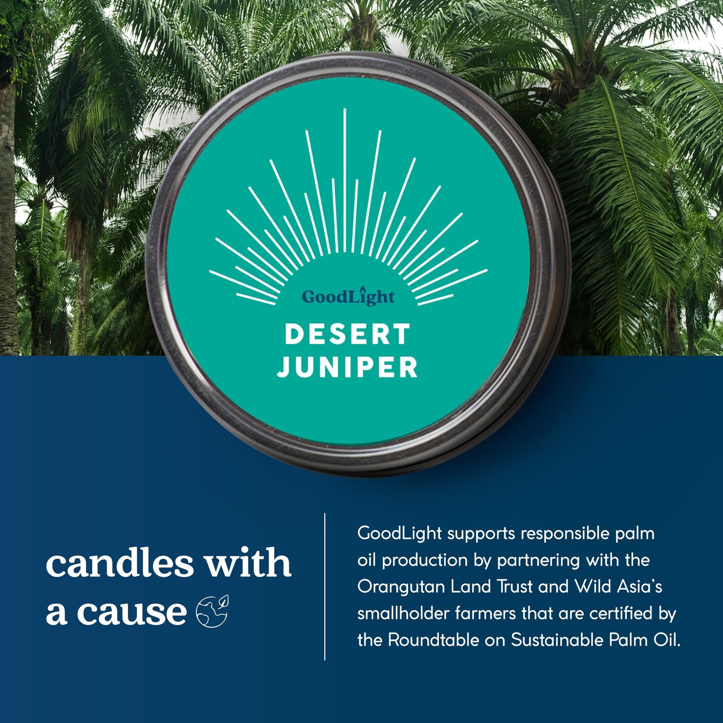 GoodLight Paraffin-Free Scented Candle in Stylish Tin (Desert Juniper, 6 oz)