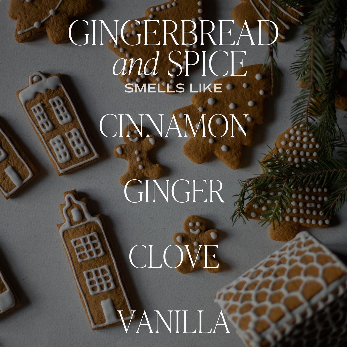 Sweet Water Decor Gingerbread and Spice Soy Candle - Cinnamon, Vanilla, and Gingerbread Scented Candle for Home - Christmas Candle 9oz Clear Jar, 40 Hour Burn Time, Made in the USA