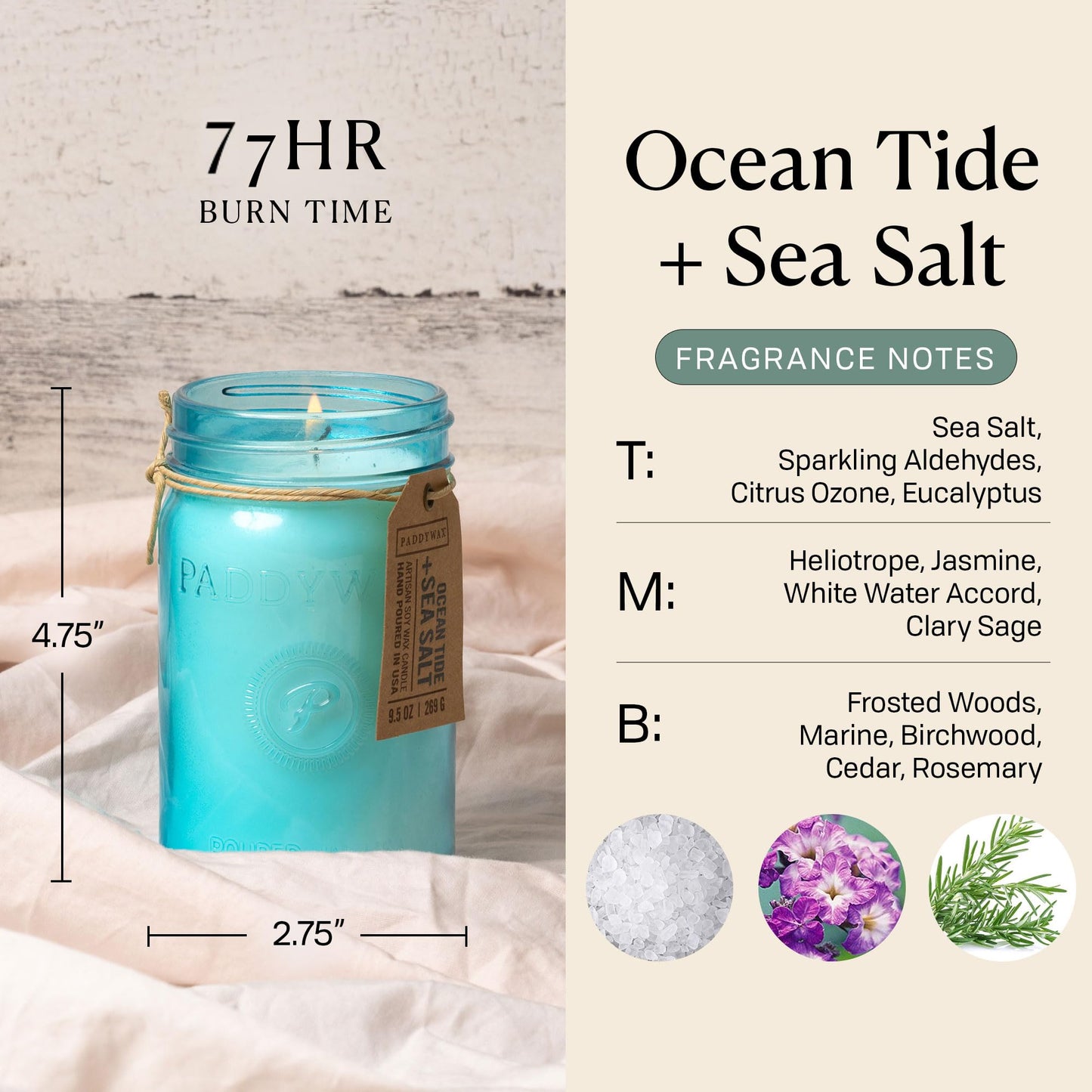 Paddywax Scented Candles Relish Collection Soy Wax Artisan Candle in Glass Jar with Lid, 9.5-Ounce, Ocean Tide + Sea Salt