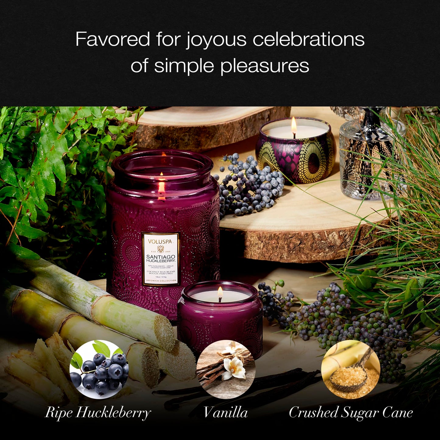 Voluspa Santiago Huckleberry, Large Candle Jar, 18 oz, 100 Hour Burn Time, All Natural Wicks and Coconut Wax for Clean Burning, Vegan, Poured in The USA