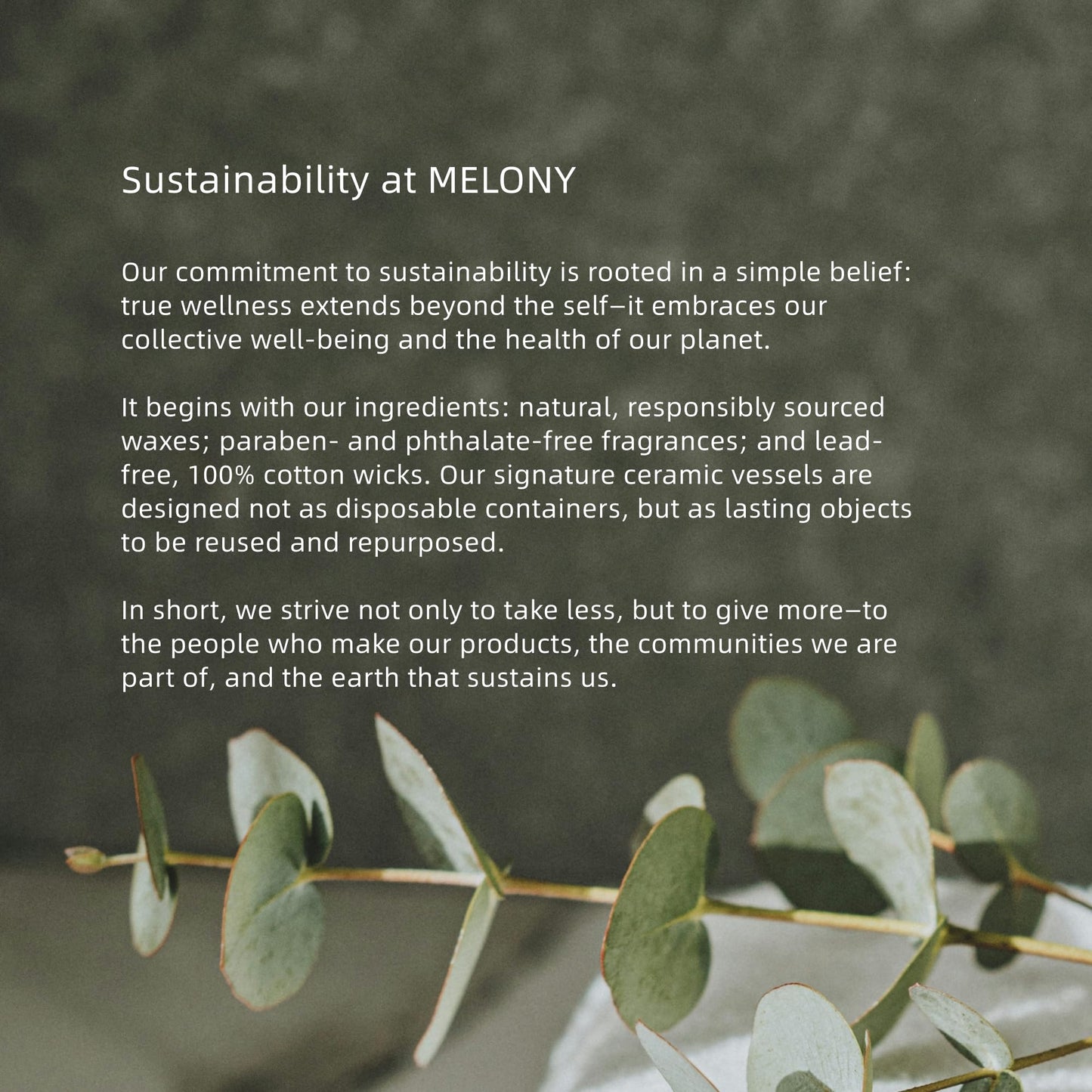 MELONY Massage Candle | Gentle Softening for Nourished, Hydrated, Balanced Skin | 230 g / 8.1 oz (Jasmine)