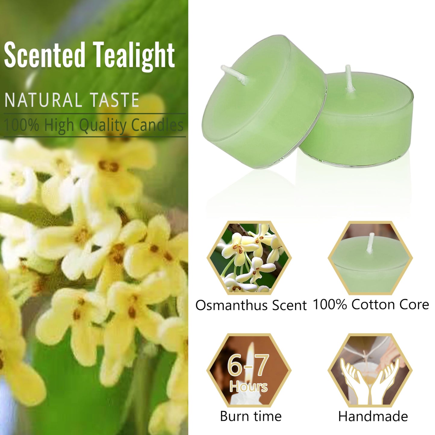 Light Green Tea Candles Tea Lights Smokeless Osmanthus Scent Tealight Candles Handmade Tealights Set of 24 Long Burning for Wedding Meditation Dinner Home Decor