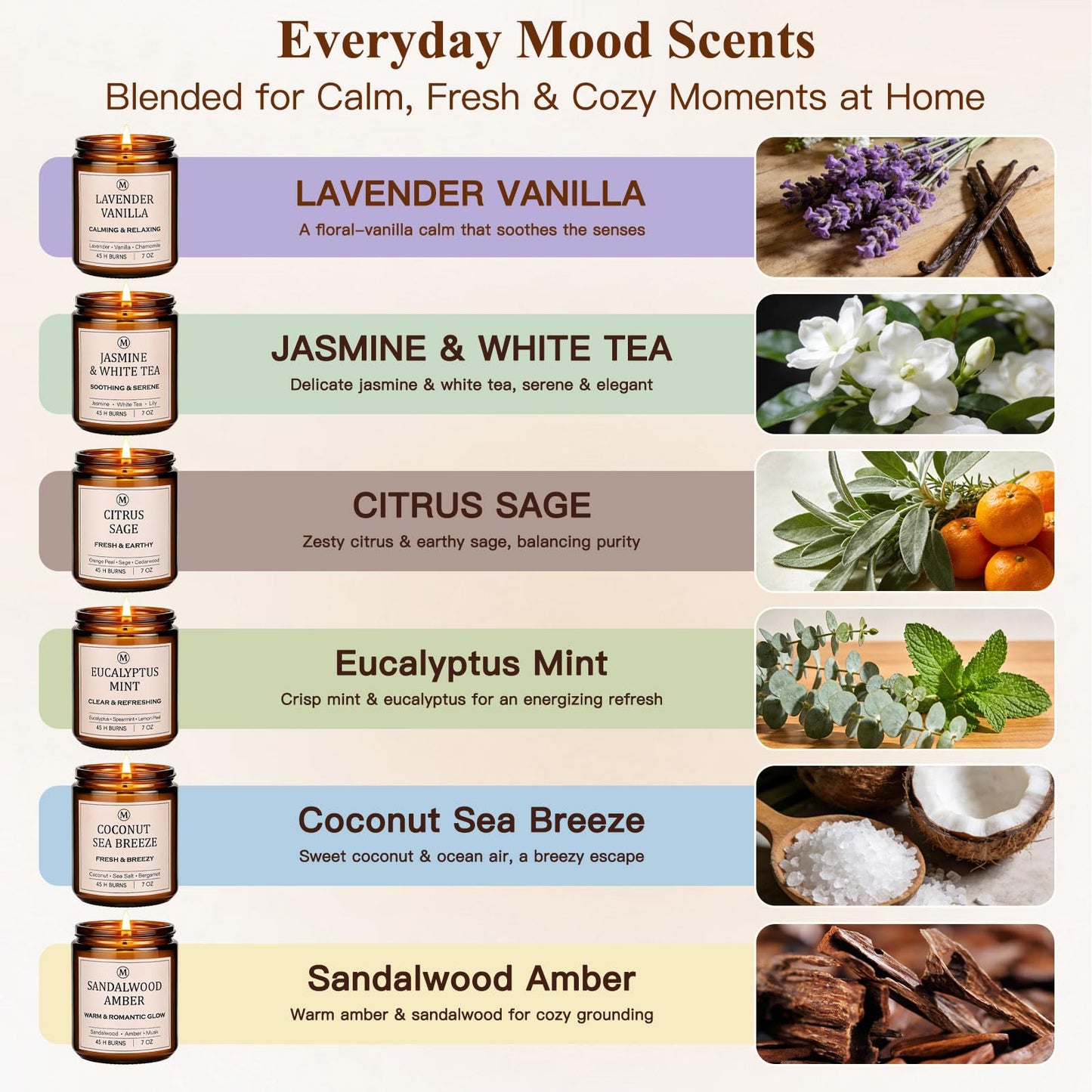 6-Pack Scented Soy Candle Set – Lavender Vanilla, Eucalyptus, Sandalwood, Jasmine & White Tea, Coconut, Sage | Natural Long Lasting Aromatherapy Candles for Home, Relaxation & Birthday Gifts