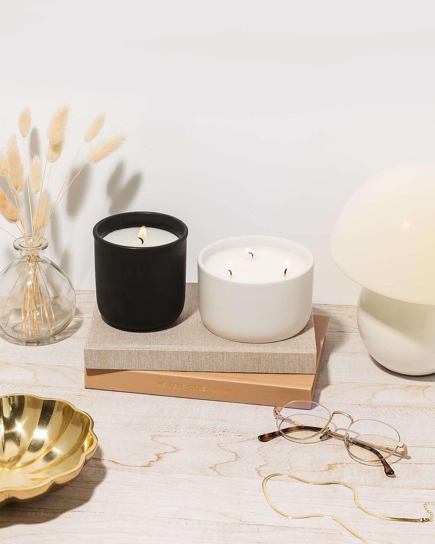 Wicked Rose Candle Co. Citrus Skylight Scented Candle | Citrus, Agave & Peach | 10 oz Hand-Poured Coconut Apricot Wax | 45+ Hour Clean Burn | Bright Tropical Home Fragrance
