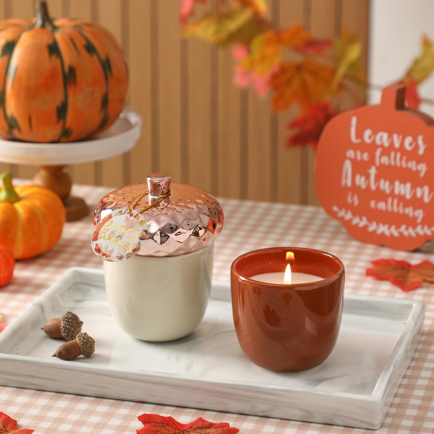 Thanksgiving Scented Candle, Pumpkin Spice Scented Candle, 6OZ Acorn Shaped Candles, Ceramic Jar Candles, Autumn & Thanksgiving Gift, Cozy Home Gift