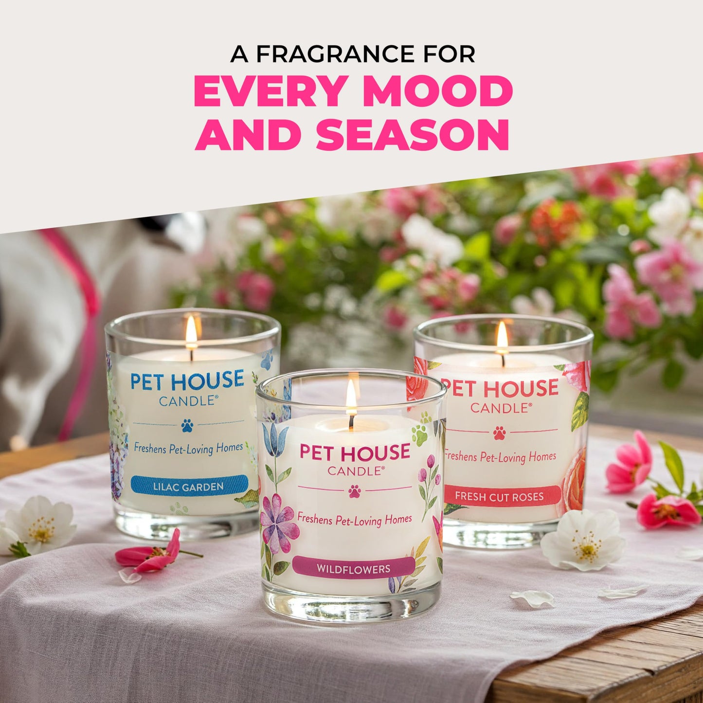 Pet House Candles, Scented Candles for Pet Homes, Natural Plant-Based, 60 Hour Burn Time - Pink Sugar, 9 oz