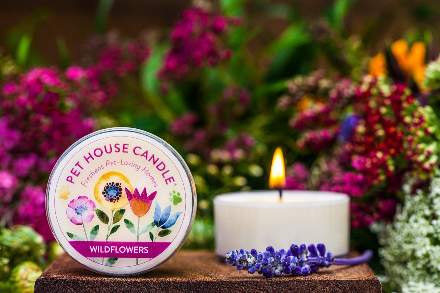 Pet House Mini Candles for Pet Odor Made with Natural Soy Wax, Plant Based, Dog and Cat Friendly Scented, Sunwashed Cotton Pack of 3