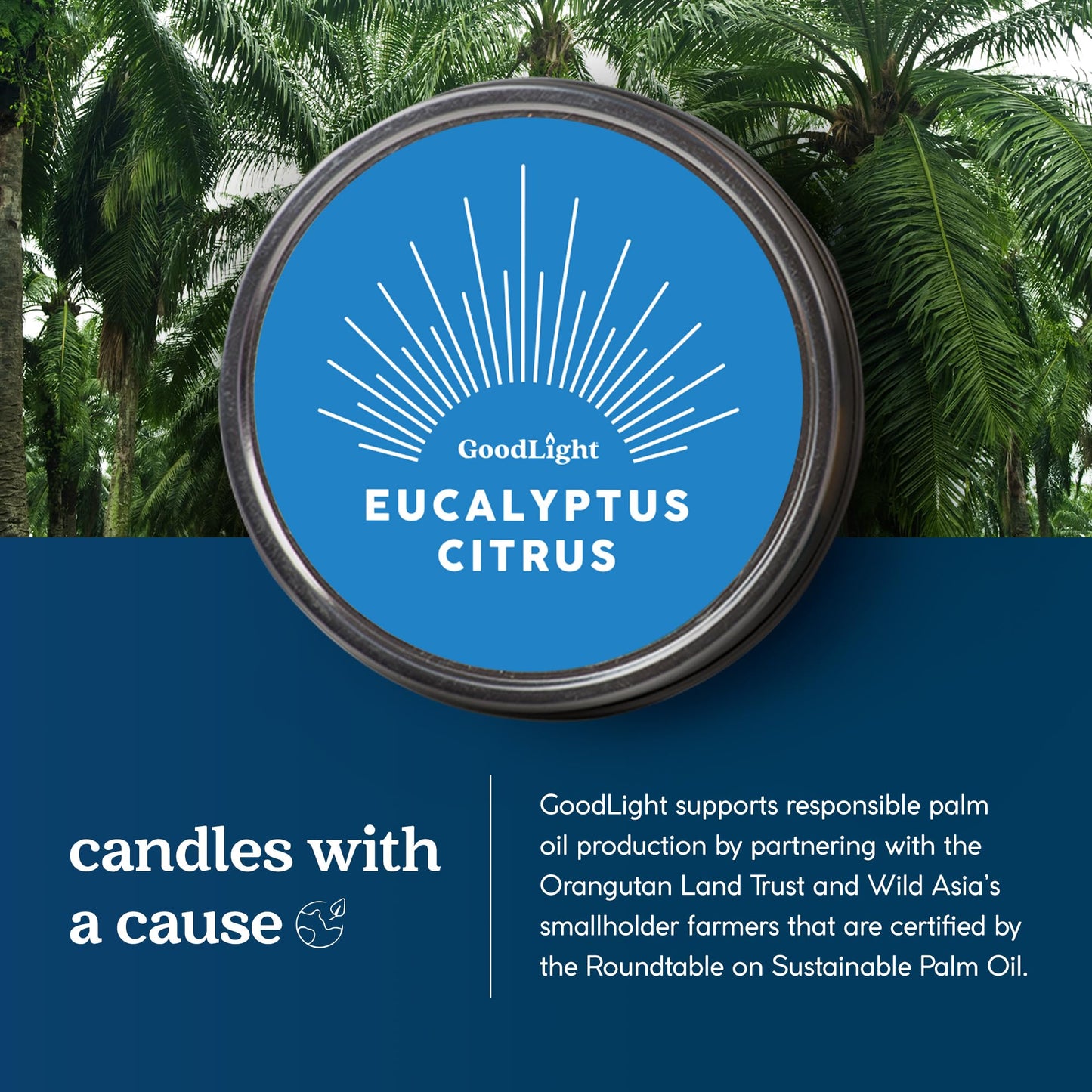 GoodLight Paraffin-Free Scented Candle in Stylish Tin (Eucalyptus Citrus, 6 oz)