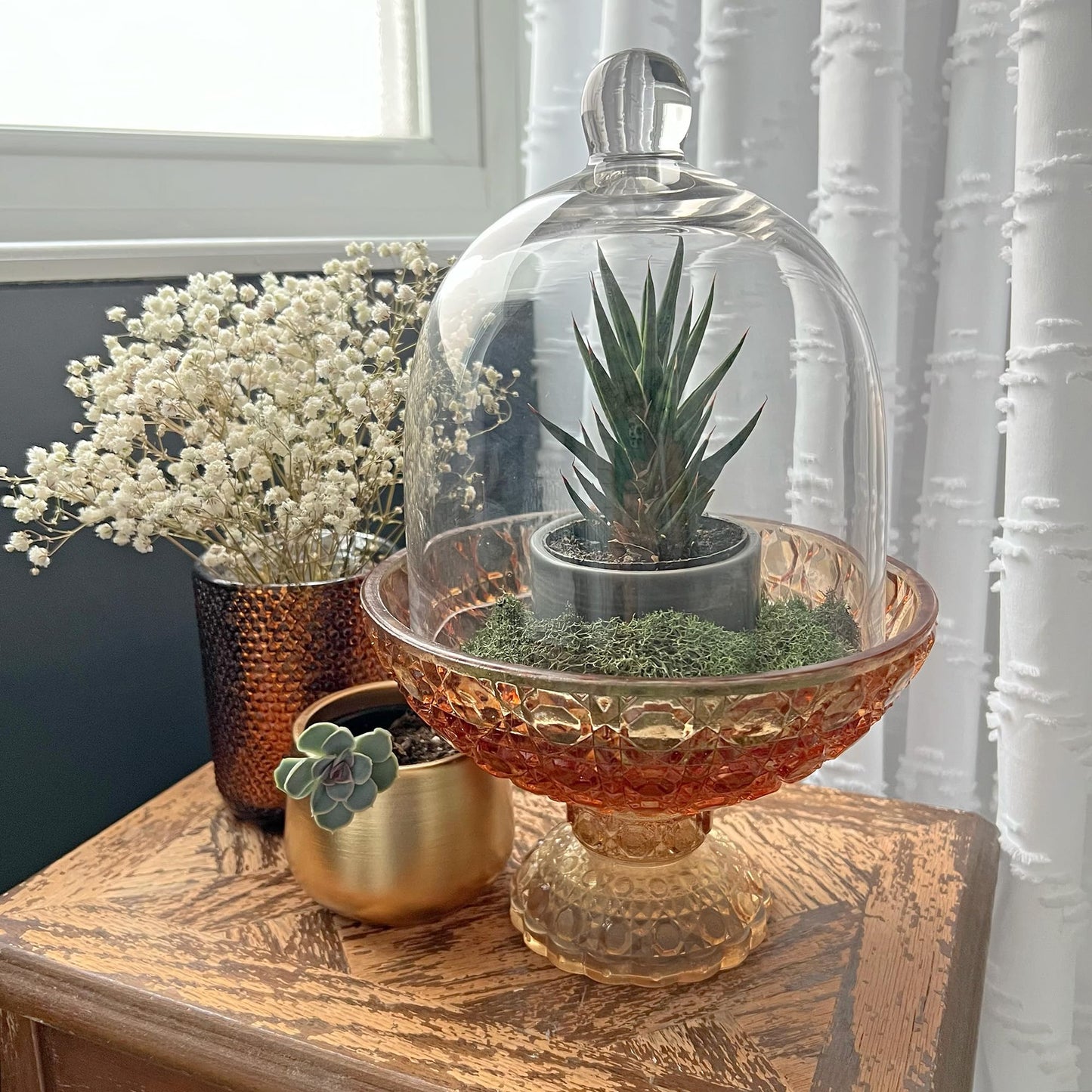 Plymor 6" x 7" Bell Jar Glass Display Dome Cloche (Small - Interior Size 5.75 inch x 5.75 inch)