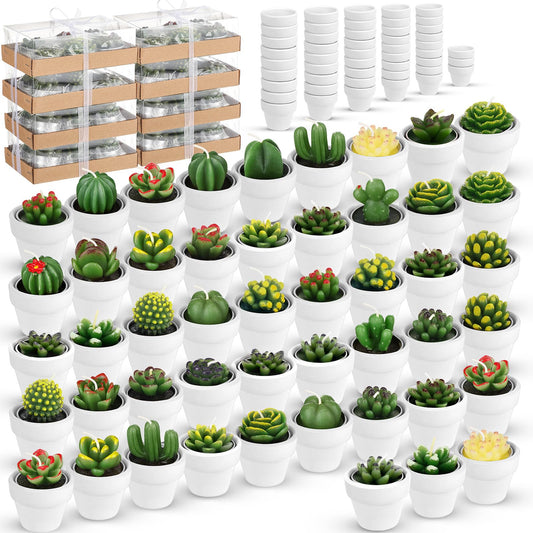 Shihanee 48 Pcs Bulk Succulent Candles Decorative Cactus Tealight Candles Handmade Mini Terracotta Clay Holders House Warming Wedding Baby Shower Spa Mexican Coworkers Teacher Birthday Gifts(White)