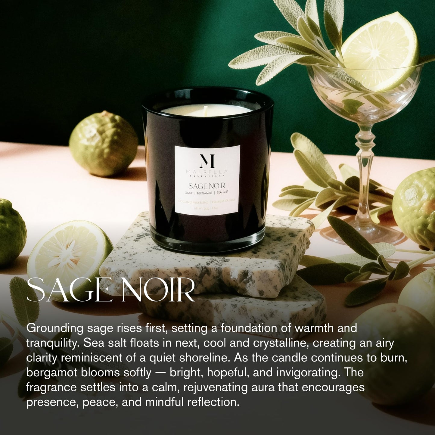 Malbella Essentials Sage Noire Luxury Scented Candle for Women & Men | 8.5 oz Hand-Poured Coconut Wax Blend | Modern Self-Care Aromatherapy Candle | 50 Hr Burn | Gift-Ready Glossy Glass Vessel