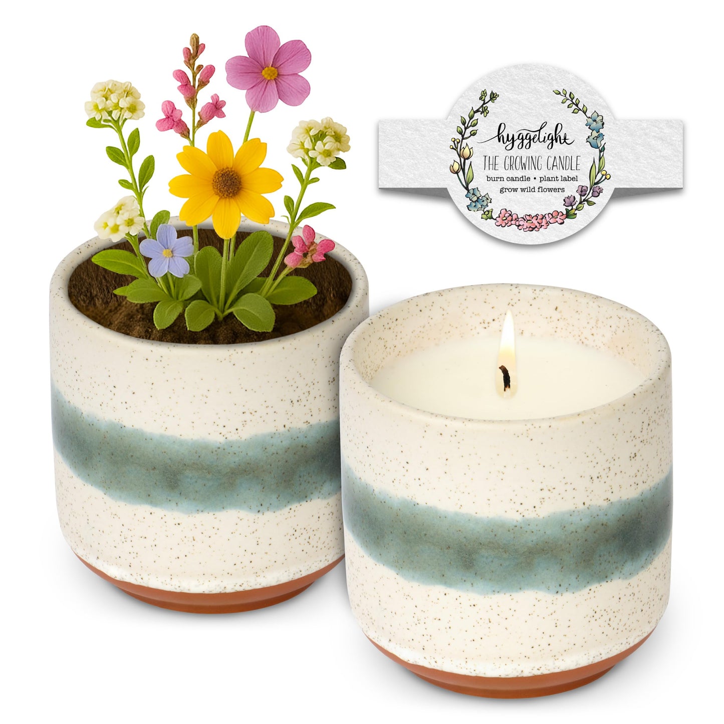 Hyggelight - The Growing Candle, Sandalwood & Vanilla Scented, 8.5oz Ceramic Pot, Aromatherapy Candles for Home, 100% Soy, Edith