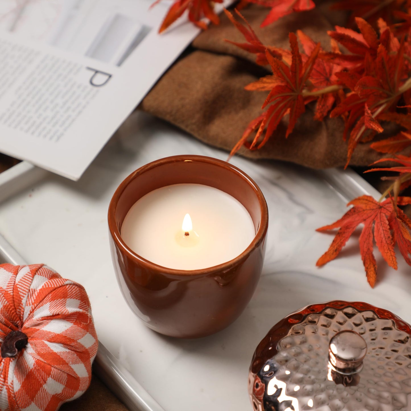 Thanksgiving Scented Candle, Pumpkin Spice Scented Candle, 6OZ Acorn Shaped Candles, Ceramic Jar Candles, Autumn & Thanksgiving Gift, Cozy Home Gift