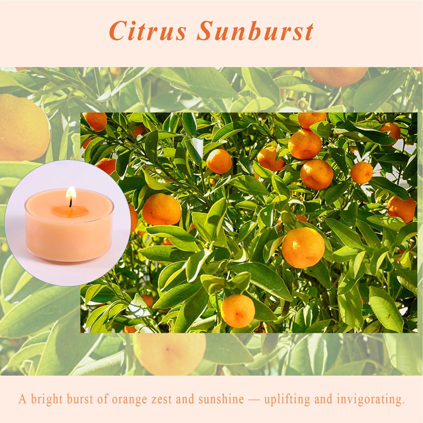 Scented Tea Lights Candles, Citrus Sunburst, 16 Pack – Vibrant Orange Scented Tealight Candles – 100% Palm Wax, 6 Hour Burn Aromatherapy Tea Light Votive Candle for Holiday Gatherings, Festive Decor