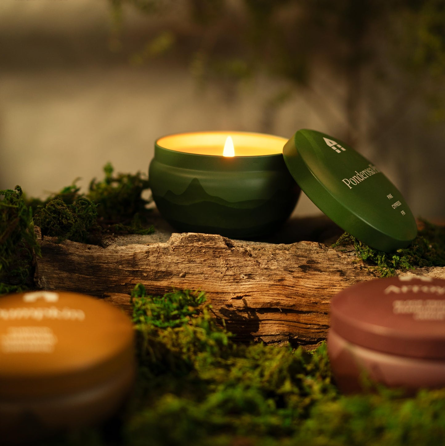 Bluecorn Aromática Holiday Candle Gift Set, 3 Tins Pumpkin, Ponderosa Pine & The Woodsy, Vegan Coconut Wax, Clean Burning & Long Lasting Candles, Candle Set, American Made, 3 Ct, 8 Oz Each