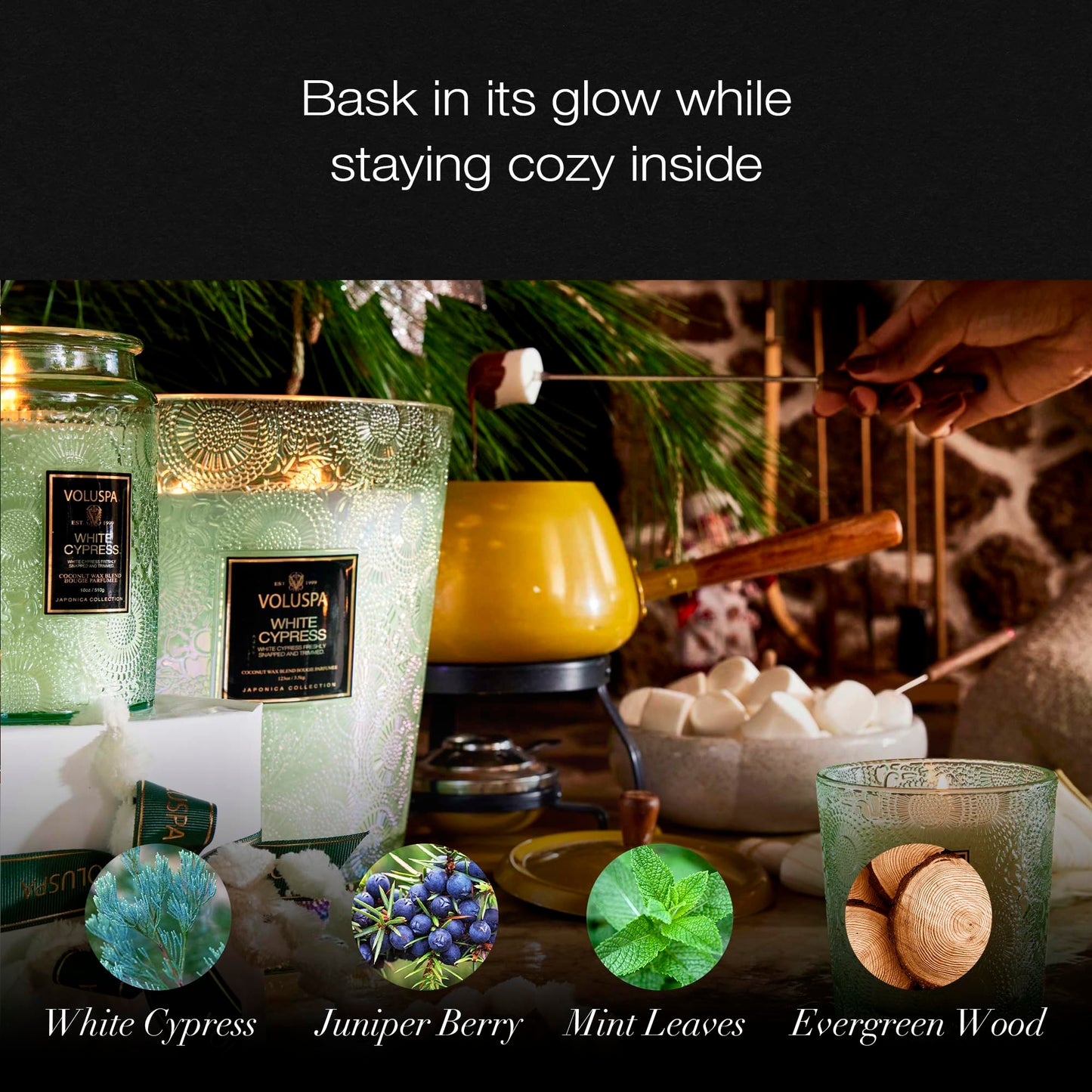 Voluspa White Cypress,Small Candle Jar, 5.5 Ounce,50 Hour Burn Time, & Coconut Wax for Clean Burning,,Handcrafted in the USA