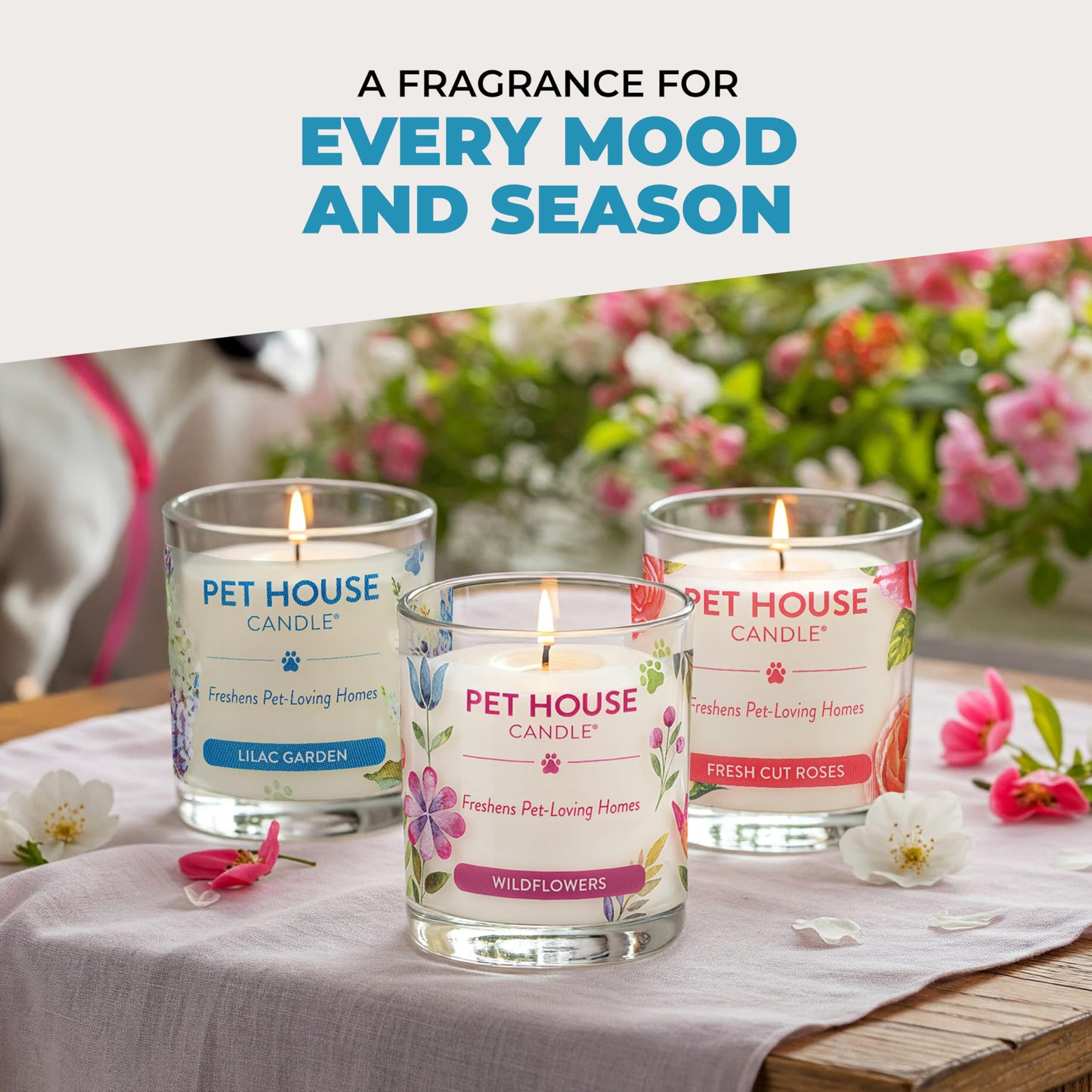 One Fur All Pet House Candle Plant-Based/Soy - Clean Burning Scented,Long Lasting Pet Odor Candle for Home - Sunwashed Cotton