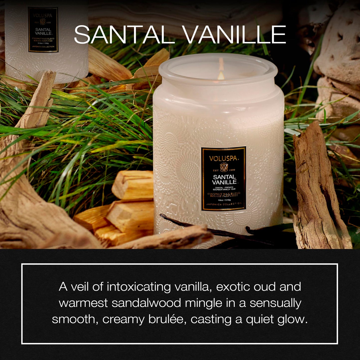 Voluspa Santal Vanille Candle, 18 oz, Coconut Wax Blend, Scented Candles for Home, 100 Hour Burn Time, Candle Jars