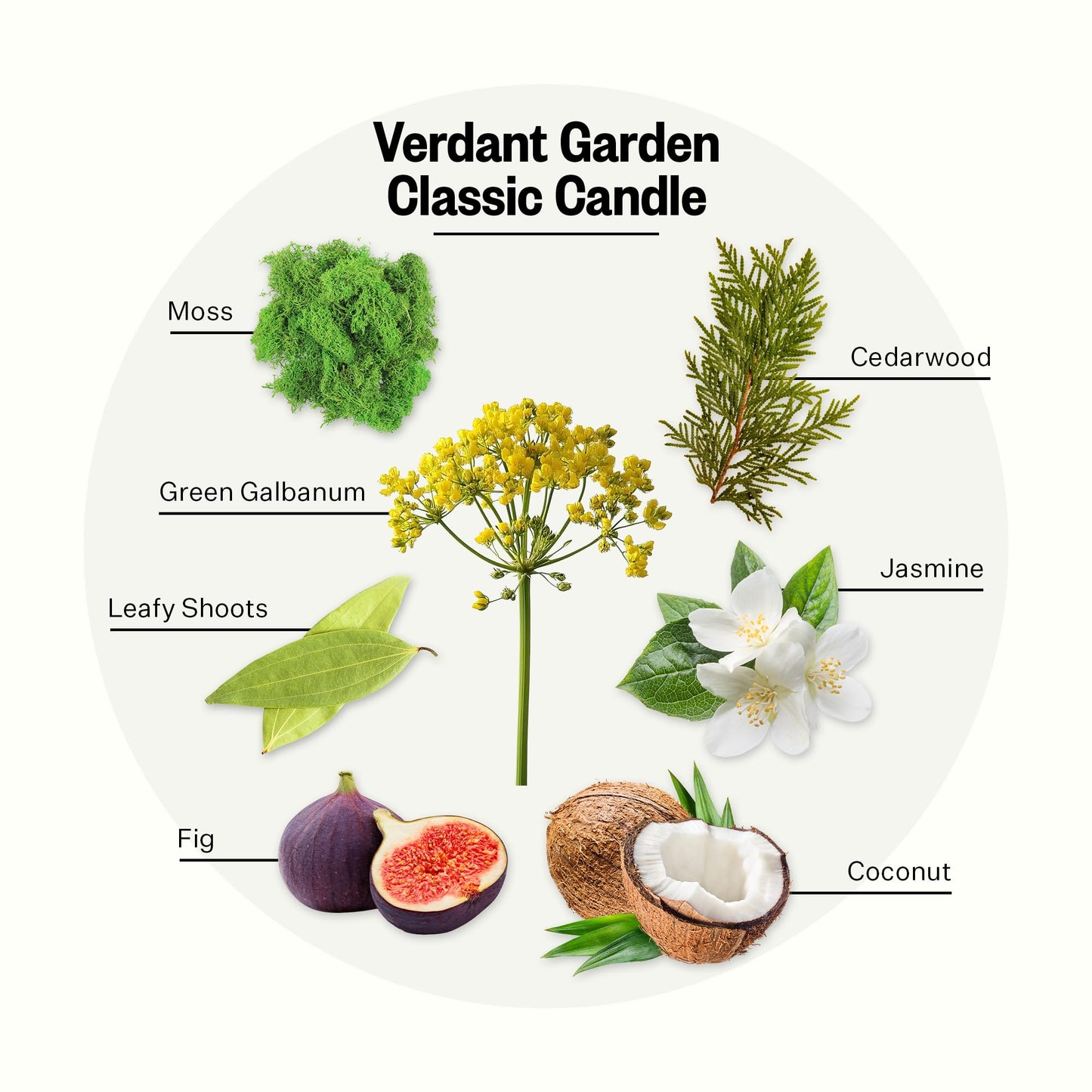 Apotheke Signature Scented Candles for Home, Verdant Garden - 10.5 oz - Soy Wax, Non Toxic, Large Jar White - Luxury Candle Gifts for Women & Men - Cedarwood, Jasmine, Fig, and Coconut