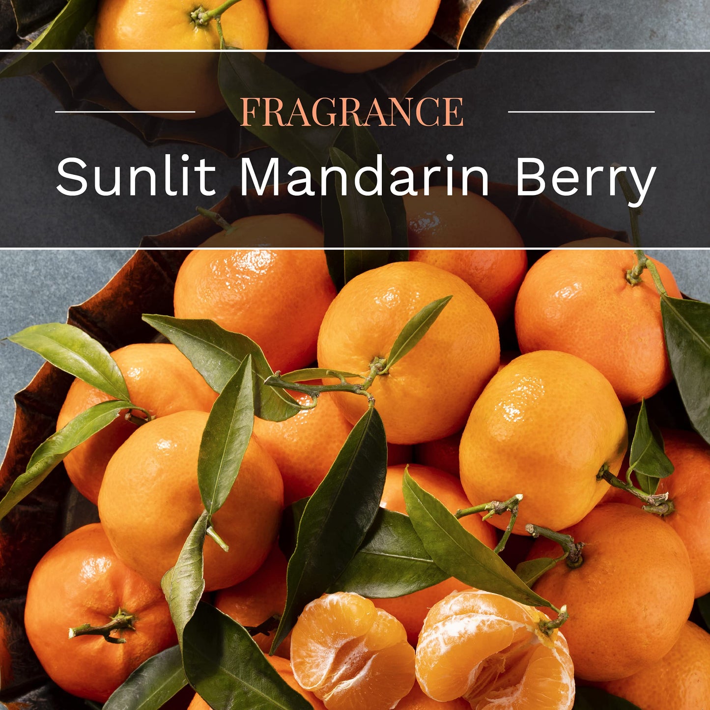 CANDLE-LITE Scented Sunlit Mandarin Berry Fragrance, One 10oz. 3-Wick Aromatherapy Candle with 20-40 Hours of Burn Time, Orange Color, 10 oz. Jar