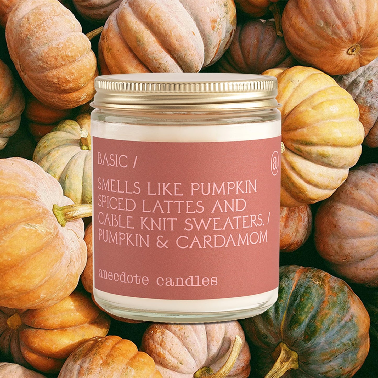 Anecdote Candles ‘Basic' Coconut Soy Wax Candle Jar | Premium Hand Poured & Long Burning | Pumpkin & Cardamom Scent | Phthalate-Free | for Home, Office, Gift - 7.8 Oz