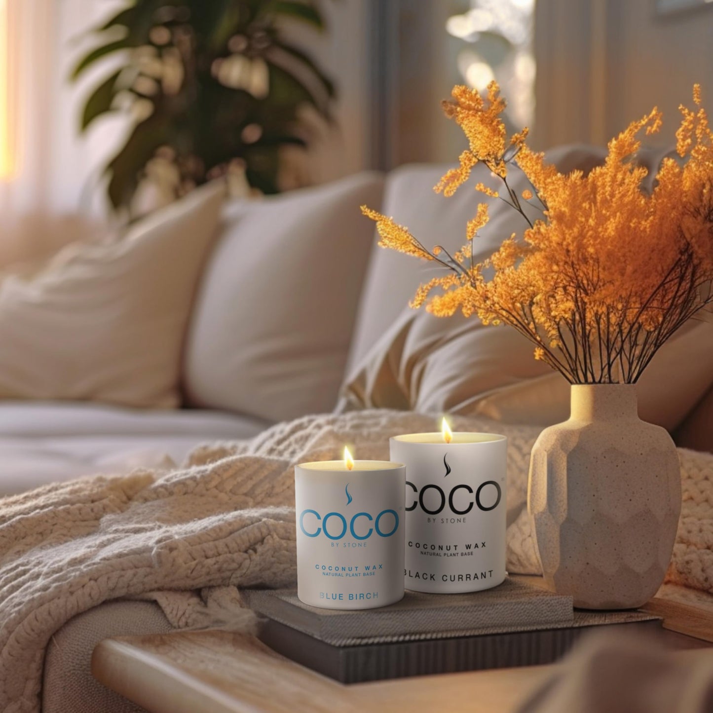 COCO by Stone 6.5oz Candle, Coconut Apricot Wax Candle for Home (Baies), Home Fragrance Product, 1-Wick Candle, Enhances Indoor Aroma, Vegan & Cruelty-Free, Clean Burning, Hand-Poured