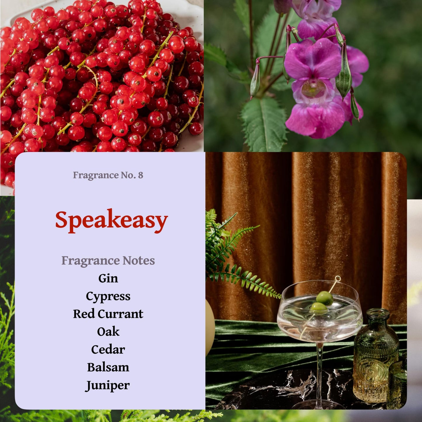 RUTH & ROSE Speakeasy Scented Candle, 100% Beeswax Candle for Home, 8oz, +65 Hours Burn Time, Aromatherapy Non Toxic Candles, Gift for Women & Men, Made in USA, Perfect for Travel or Gifting