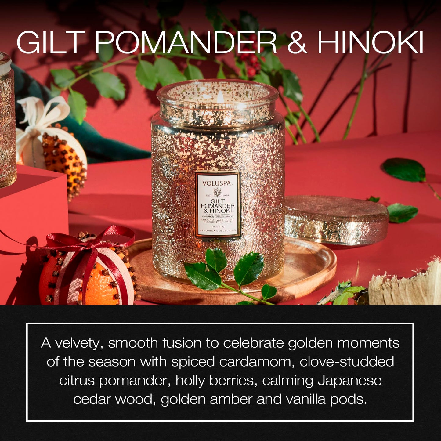 Gilt Pomander Hinoki, Large Candle Jar, 18 oz, 100 Hour Burn Time, Coconut Wax for Clean Burning, Handcrafted in the USA