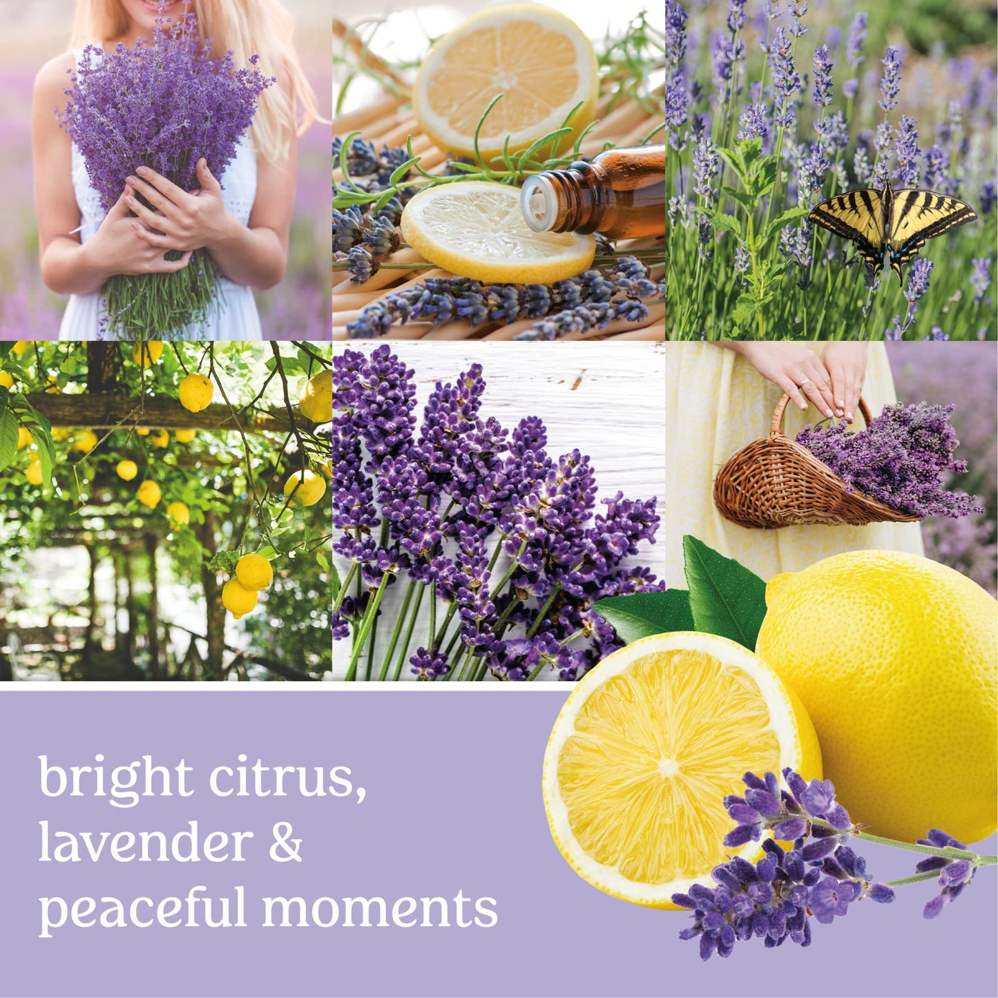 Yankee Candle Lemon Lavender Scented Signature 20oz Large Jar 2-Wick Candle Over 60 Hours of Burn Time