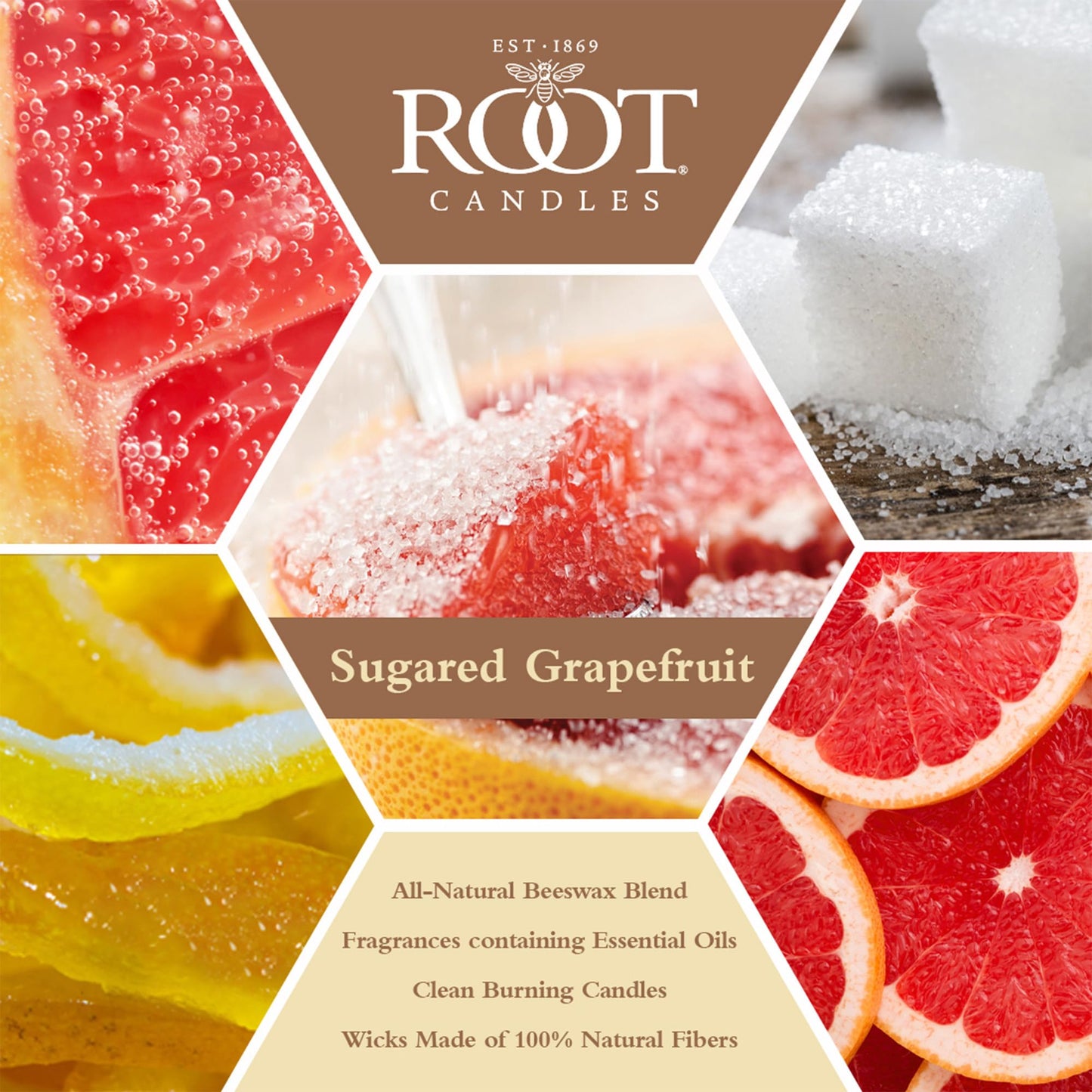 Root Candles Scented Candles Honeycomb Beeswax Blend Premium Handcrafted Candle, Large Veriglass, Sugared Grapefruit