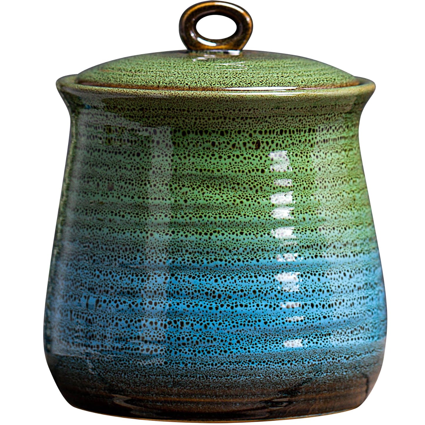 40 OZ Cookie Jar,Dog Treat Jar, Kitchen Canisters for Countertop for Food Storage Coffee, Tea,Flour, Beans, Spices, Nuts and More Ceramic Jar with Lid. (Green and Blue)