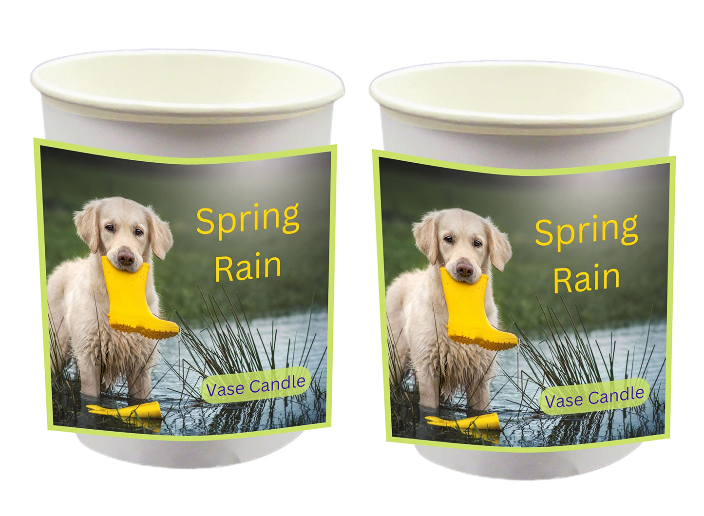 Spring Rain Vase Candle - Spring Rain - Blend of Lemon, Lily, Jasmine, and Ozone. (Clear Set)