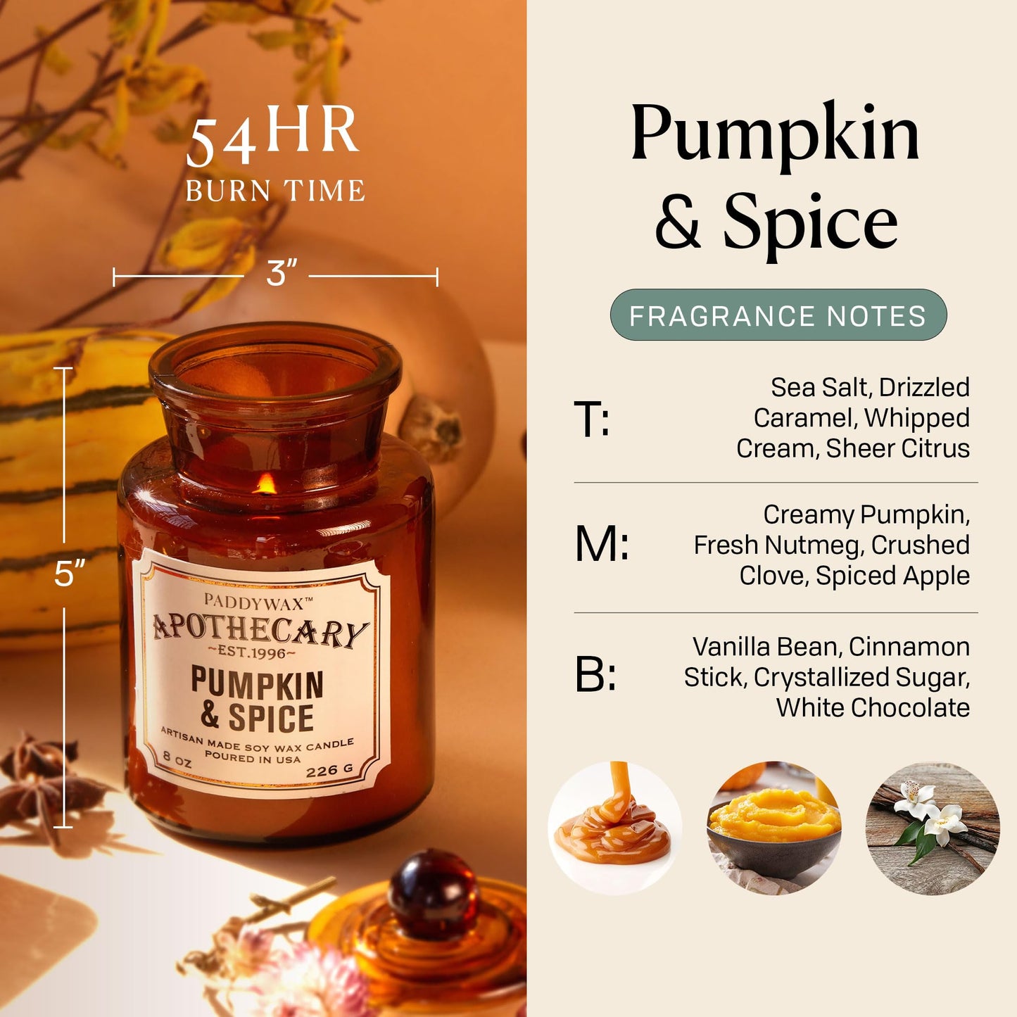 Paddywax Artisan Apothecary Scented Candle with Lid in Reusable Glass Jar, Clean-Burn Soy Candle with Approx. 54 Hour Burn Time, Pumpkin & Spice, 8 oz.