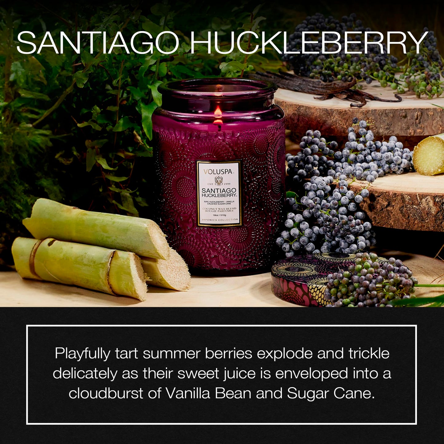 Voluspa Santiago Huckleberry, Large Candle Jar, 18 oz, 100 Hour Burn Time, All Natural Wicks and Coconut Wax for Clean Burning, Vegan, Poured in The USA